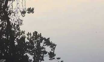 Imagem 4: Chácara na AM070 ramal do açutuba