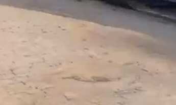 Imagem 3: Casa pra vender Casa com 2 dormitórios