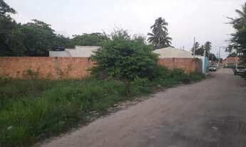 Imagem 3: Terreno ilha de Sta. Rita