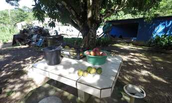 Imagem 7: Chácara Na zona Rural do Girassol Goiás