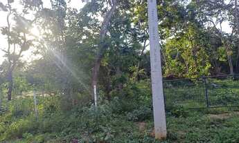 Imagem 3: Terreno 3ha, terra plana a 3Km do Rio do Peixe, Felixlandia-MG