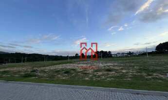 Imagem 6: Terreno à venda, 600 m² por R$ 785.000,00 - São João do Rio Vermelho - Florianópolis/SC