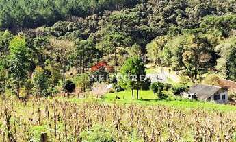 Imagem: Chácara em Campo Largo - Pr - Retiro