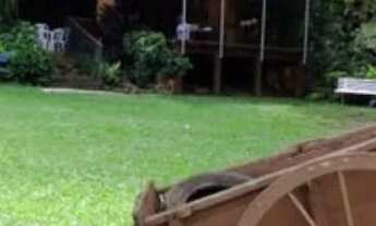 Imagem 2: Oportunidade - Chácara 1 Alqueire em Rio Claro