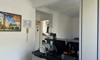 Imagem 6: Apartamento 2 Quartos 48m² - Roçado - JMS