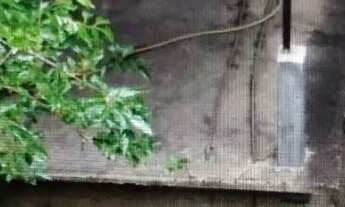 Imagem 2: Casa na Paulicéia em Caxias