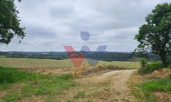Imagem 5: Fazenda com 70 alqueires, casa, rio e lago a 8 km da BR-476 Aberta a negociação