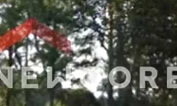 Imagem 7: Lote em Rua Arapongas - Jardim Renata - Itapecerica da Serra/SP