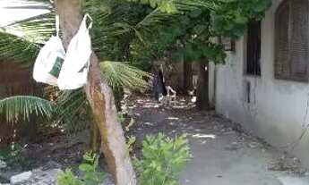 Imagem 2: Vendo casa em cosmos