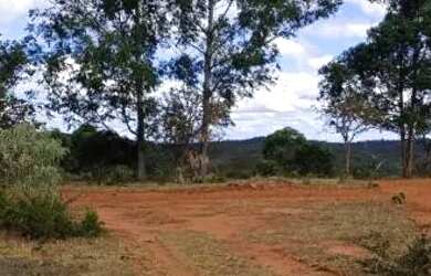 Imagem 3: Chácaras apenas 18 km de montes Claros estrada de Bocaiúva