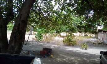 Imagem 6: Lote em Cascavel (CE) (10 x 50m) = 500m2