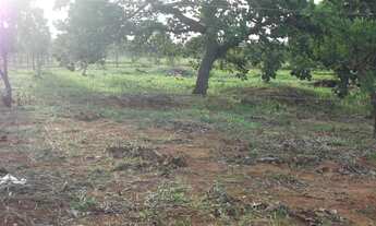 Imagem: OPortunidade de ter seu imovel 1.000m 8mil