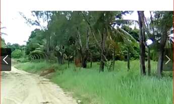 Imagem 6: Bela Propriedade em Praia Bela - Paraíba - com 10 ha