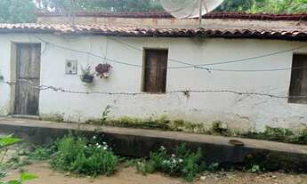 Imagem 5: Venda de um sítio Frutifero Produtivo Localizado em Pacoti-Ceara