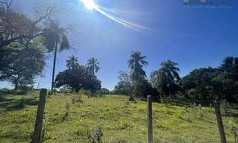 Imagem: Terreno à venda, 5000 m² por R$ 1.250.000,00