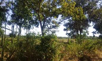 Imagem 4: Terreno à venda em zona rural em Santo Antônio de Leverger-MT