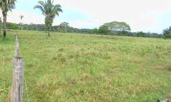 Imagem 3: Sitio Com 86 Hectares 50 x 2000, 40 Hectares Aberto