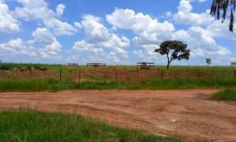 Imagem 5: Fazenda 127 Alqueires 2,700.00 Milhão