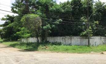 Imagem 3: Oportunidade !! Baixou o Preço<br>Terreno 3.120m². Financiamento Caixa Legalizado RG