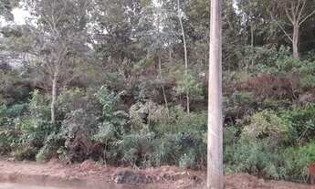 Imagem 3: Lote em Escarpas do lago - Capitólio - MG 1032m²