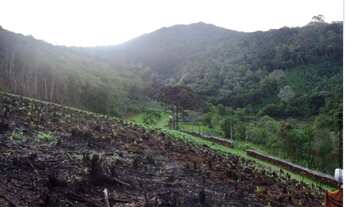 Imagem 2: Área em Rio Branco do Sul