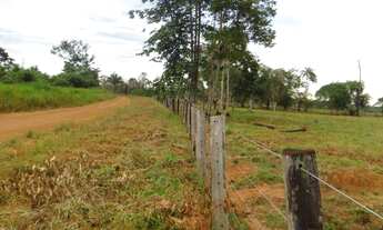 Imagem 6: Sitio Com 86 Hectares 50 x 2000, 40 Hectares Aberto