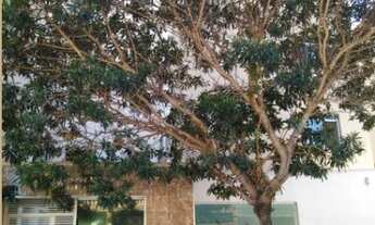 Imagem 2: Apartamento para venda possui 60 metros quadrados com 3 quartos em Araguaia - Belo Horizon