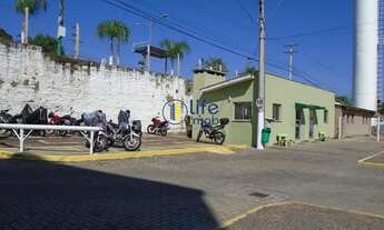 Imagem 3: SãO LEOPOLDO - Padrão - Pinheiro