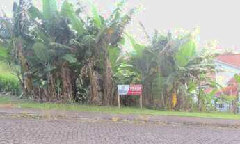 Imagem 3: Terreno à venda no Bairro Pio Correa