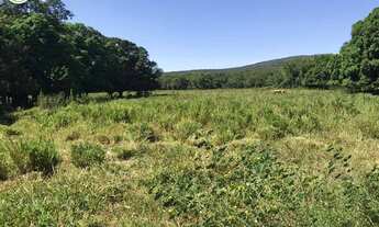 Imagem 2: FAZENDA À VENDA EM CORINTO - MG - 3.200 HECTARES (DUPLA APTIDÃO