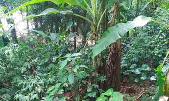 Imagem 3: Lote/Terreno para venda com 838 metros quadrados em Feiticeira - Ilhabela - SP