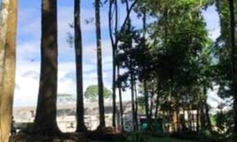 Imagem 7: QUARTZO - LOTE NASCENTE - QUITADO