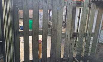 Imagem 6: Vendo sitio ou troco