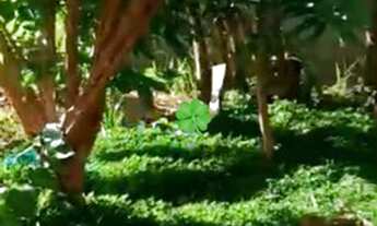 Imagem 6: CASA - MELO VIANA - 2 QUARTOS - PARCELA A METADE