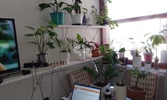 Imagem 2: PORTO ALEGRE - Apartamento Padrão - Centro Histórico