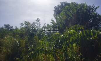 Imagem: Terreno à venda em zona rural em Santo
