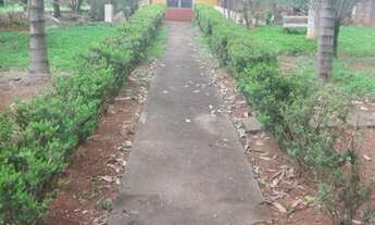 Imagem 6: Linda Chácara à Venda com muito verde em Guaranésia/MG com 6000M2 de área total