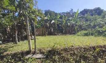 Imagem 3: Vendo terreno na vila da gloria