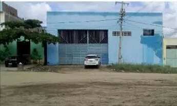 Imagem 3: BEZERROS - Padrão - RETIRO