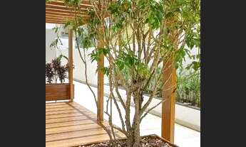 Imagem: Vendo excelente apartamento de 02 quartos