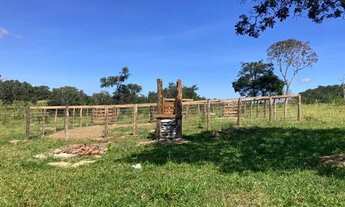 Imagem 2: Ecelente. Chavara 7 alqueres