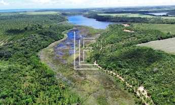 Imagem 5: Área de 40.000m² para venda em Jequiá da Praia - AL