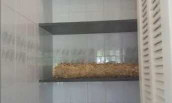 Imagem 4: Casa com 3 dormitórios à venda, 365 m² por R$ 2.590.000,00 - Condomínio Jardim Paulista I