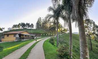 Imagem 5: Campo Largo - 52 Alq - 125 Ha - Pra Confinamento ou Haras