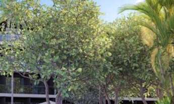 Imagem: Makai Acqua Resort O primeiro acqua resort