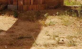 Imagem 3: Vende-se uma chácara próxima a Palmares 2