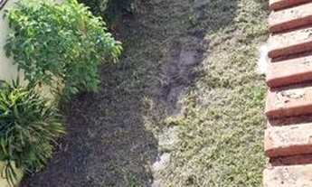 Imagem: Maravilhoso imóvel em Ricardo de Albuquerque