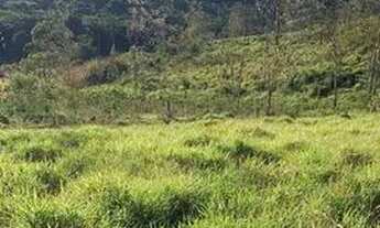 Imagem 2: Vende-se 800 metros para chacara