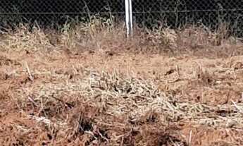 Imagem 2: Chácara em esmeraldas