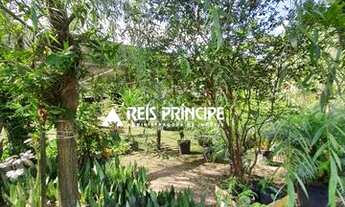 Imagem 2: TERRENO COMERCIAL PARA ALUGAR EM VARGEM GRANDE